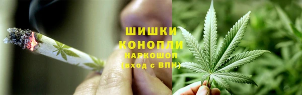 PSILOCYBIN Беломорск